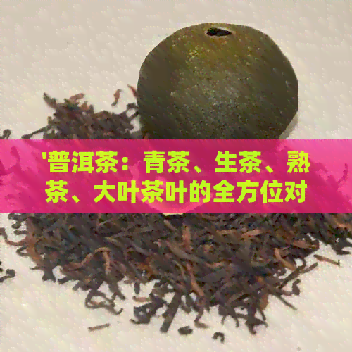 '普洱茶：青茶、生茶、熟茶、大叶茶叶的全方位对比与选择'