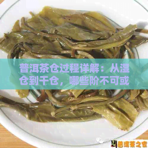 普洱茶仓过程详解：从湿仓到干仓，哪些阶不可或缺？