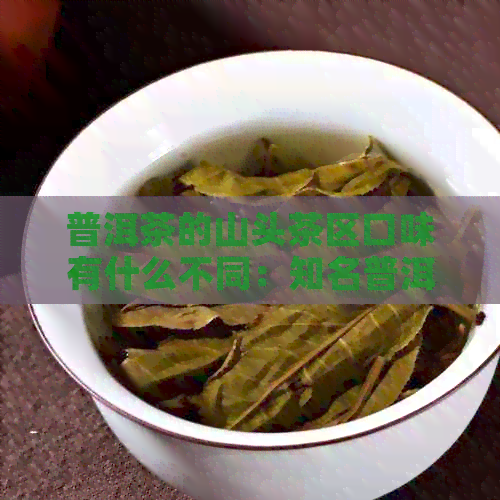 普洱茶的山头茶区口味有什么不同：知名普洱茶山头各有什么样的特点