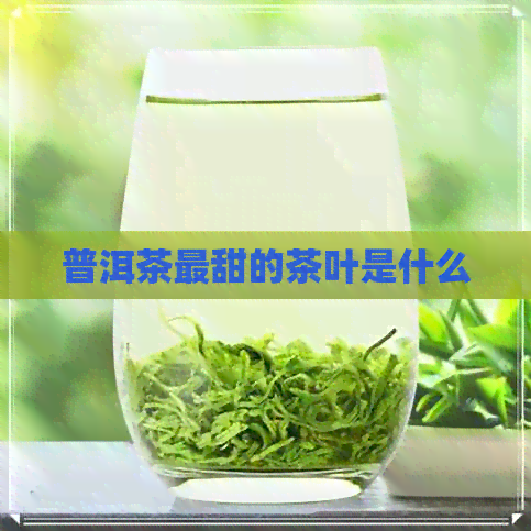 普洱茶最甜的茶叶是什么