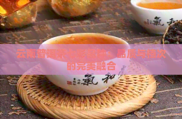 云南普洱茶七彩品种：品质与档次的完美融合