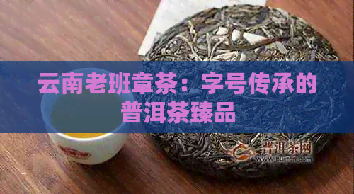 云南老班章茶：字号传承的普洱茶臻品