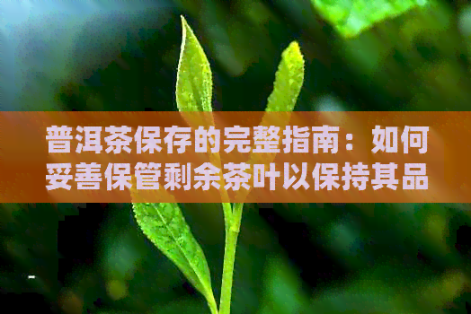 普洱茶保存的完整指南：如何妥善保管剩余茶叶以保持其品质和风味