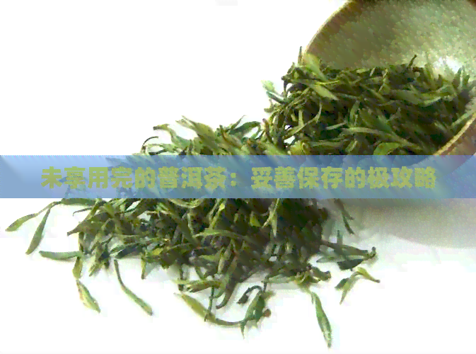 未享用完的普洱茶：妥善保存的极攻略