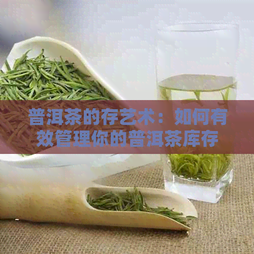 普洱茶的存艺术：如何有效管理你的普洱茶库存