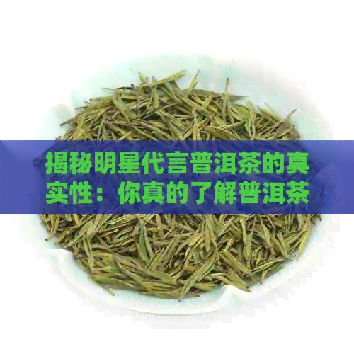 揭秘明星代言普洱茶的真实性：你真的了解普洱茶吗？