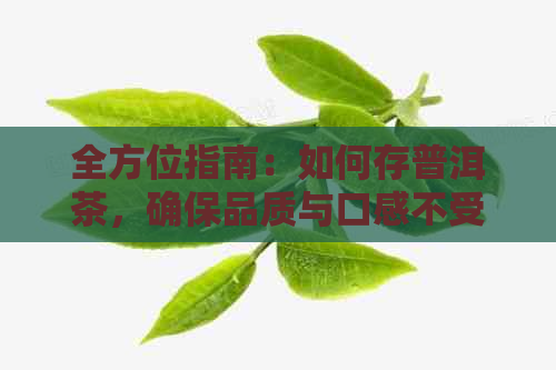 全方位指南：如何存普洱茶，确保品质与口感不受影响？