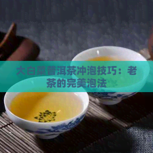 大白菜普洱茶冲泡技巧：老茶的完美泡法