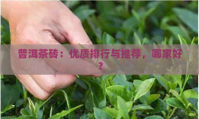 普洱茶砖：优质排行与推荐，哪家好？