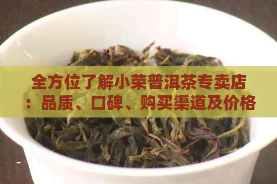 全方位了解小荣普洱茶专卖店：品质、口碑、购买渠道及价格