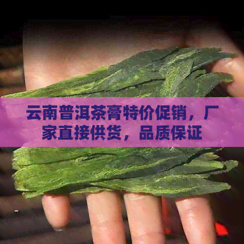 云南普洱茶膏特价促销，厂家直接供货，品质保证