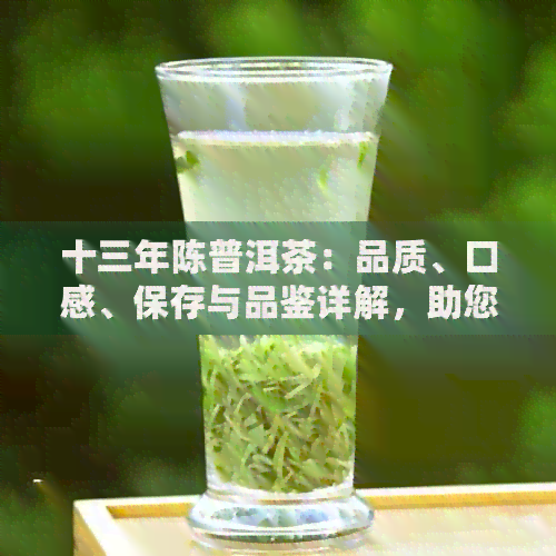 十三年陈普洱茶：品质、口感、保存与品鉴详解，助您成为普洱茶专家