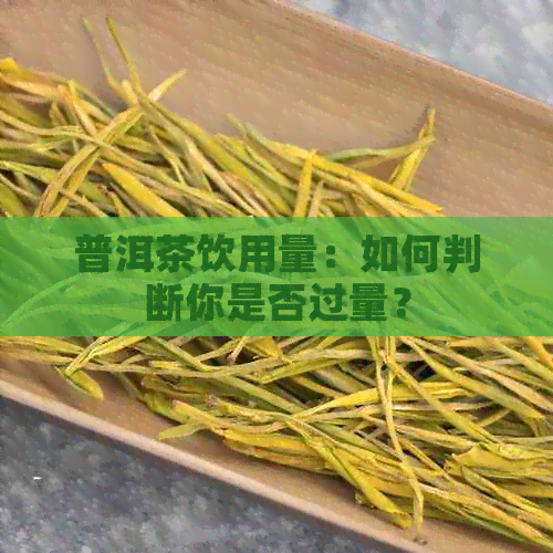 普洱茶饮用量：如何判断你是否过量？