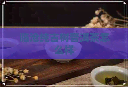 临沧纯古树普洱茶怎么样