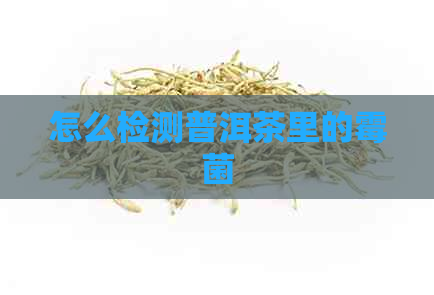 怎么检测普洱茶里的霉菌