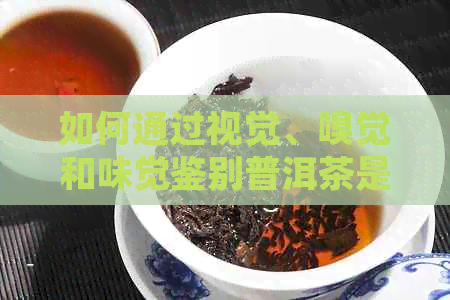 如何通过视觉、嗅觉和味觉鉴别普洱茶是否发霉及霉变的迹象