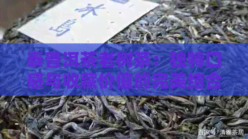 泰普洱茶老树茶：独特口感与收藏价值的完美结合，你了解其价格吗？