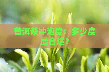 普洱茶冲泡度：多少度最合适？