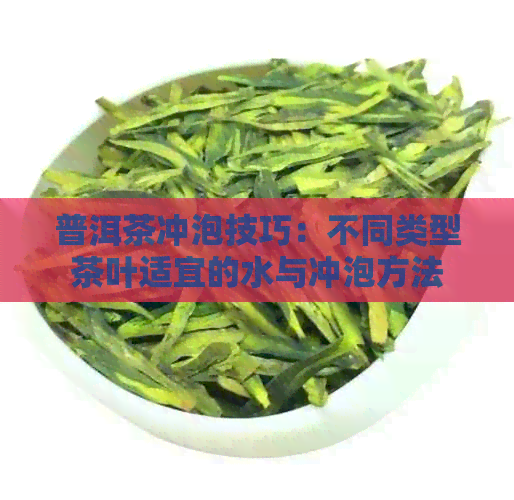 普洱茶冲泡技巧：不同类型茶叶适宜的水与冲泡方法