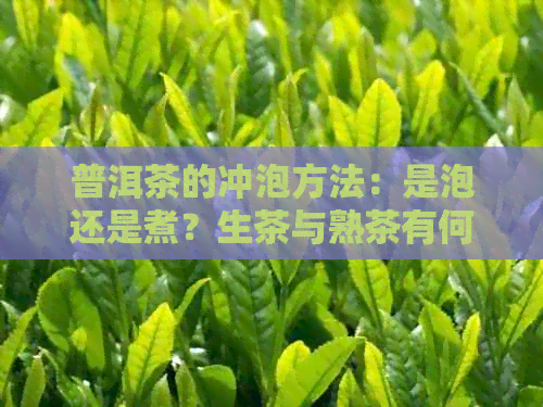 普洱茶的冲泡方法：是泡还是煮？生茶与熟茶有何区别？