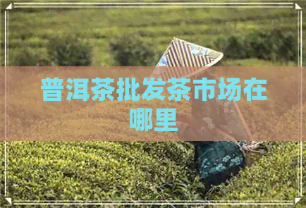 普洱茶批发茶市场在哪里