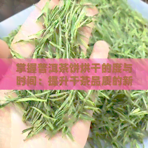 掌握普洱茶饼烘干的度与时间：提升干茶品质的新技巧