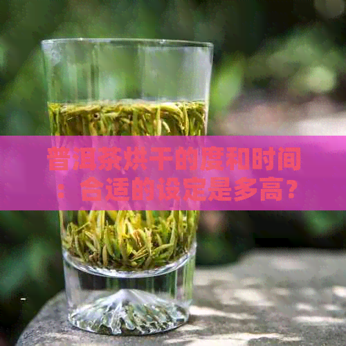 普洱茶烘干的度和时间：合适的设定是多高？