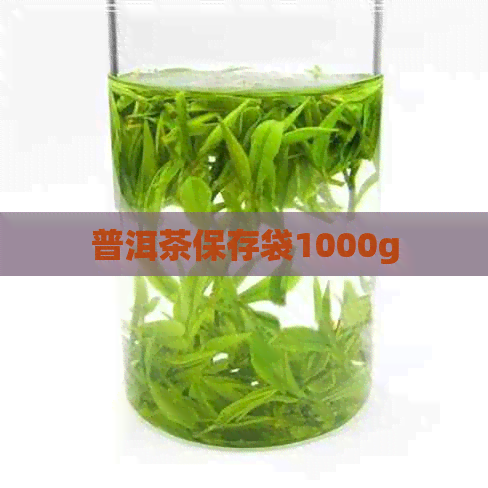 普洱茶保存袋1000g