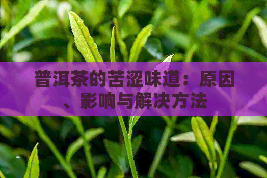 普洱茶的苦涩味道：原因、影响与解决方法