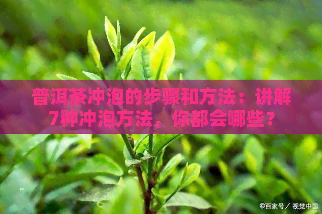 普洱茶冲泡的步骤和方法：讲解7种冲泡方法，你都会哪些？