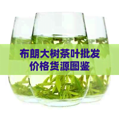 布朗大树茶叶批发价格货源图鉴