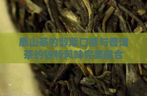 鹿山茶的醇厚口感与普洱茶的独特风味完美融合