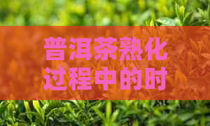 普洱茶熟化过程中的时间与品质关系探讨：几年的转化期意味着什么？