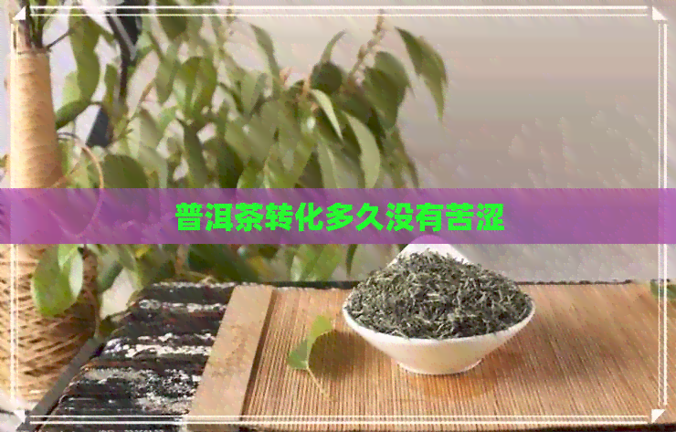 普洱茶转化多久没有苦涩