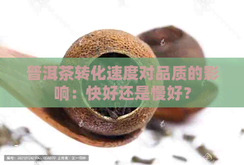 普洱茶转化速度对品质的影响：快好还是慢好？