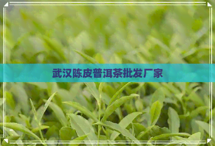 武汉陈皮普洱茶批发厂家