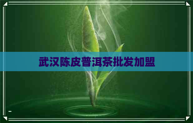 武汉陈皮普洱茶批发加盟