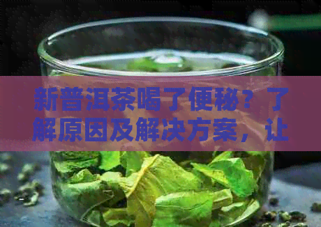 新普洱茶喝了便秘？了解原因及解决方案，让你轻松告别困扰！