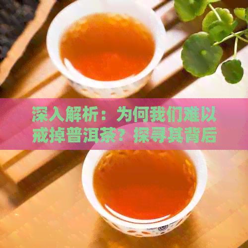 深入解析：为何我们难以戒掉普洱茶？探寻其背后的原因与影响