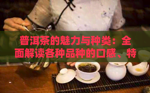 普洱茶的魅力与种类：全面解读各种品种的口感、特点与选购技巧