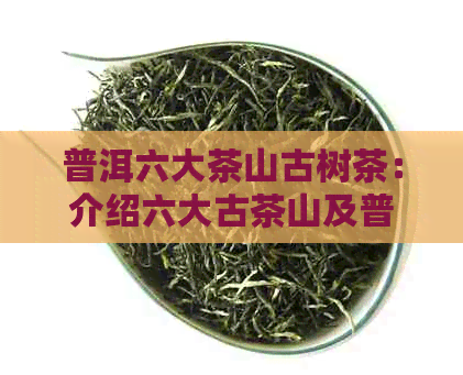 普洱六大茶山古树茶：介绍六大古茶山及普洱茶的魅力