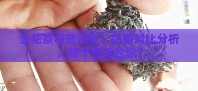 金花茶与普洱茶：口感对比分析，哪个更适合你？