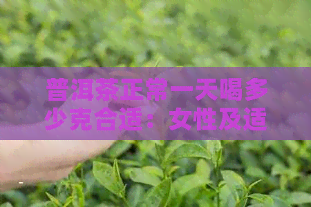 普洱茶正常一天喝多少克合适：女性及适量建议