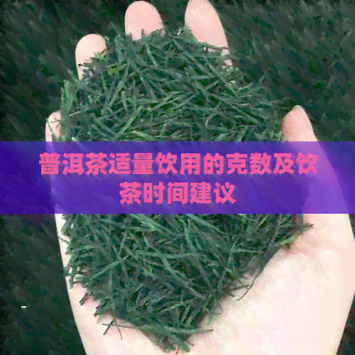 普洱茶适量饮用的克数及饮茶时间建议