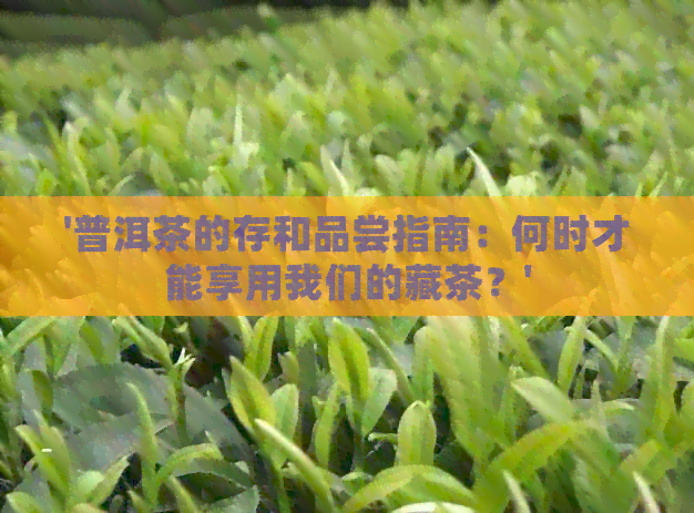 '普洱茶的存和品尝指南：何时才能享用我们的藏茶？'