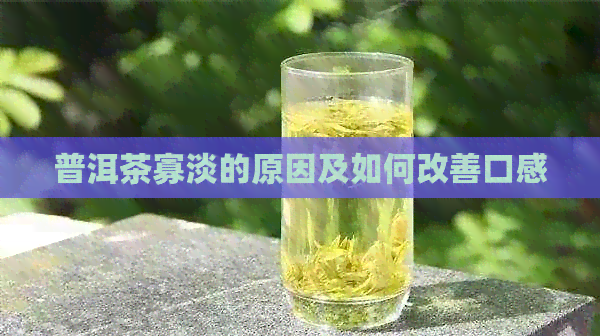 普洱茶寡淡的原因及如何改善口感