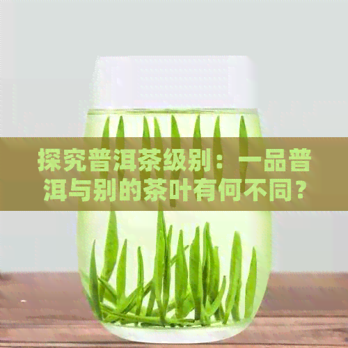 探究普洱茶级别：一品普洱与别的茶叶有何不同？