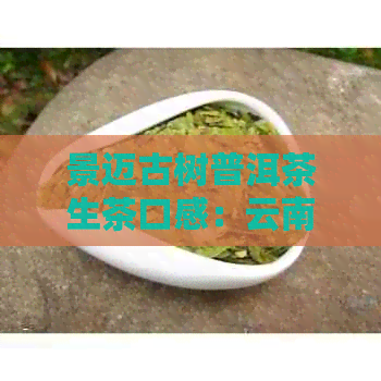 景迈古树普洱茶生茶口感：云南特色，独特特点，纯正体验