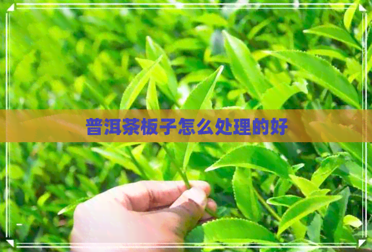 普洱茶板子怎么处理的好