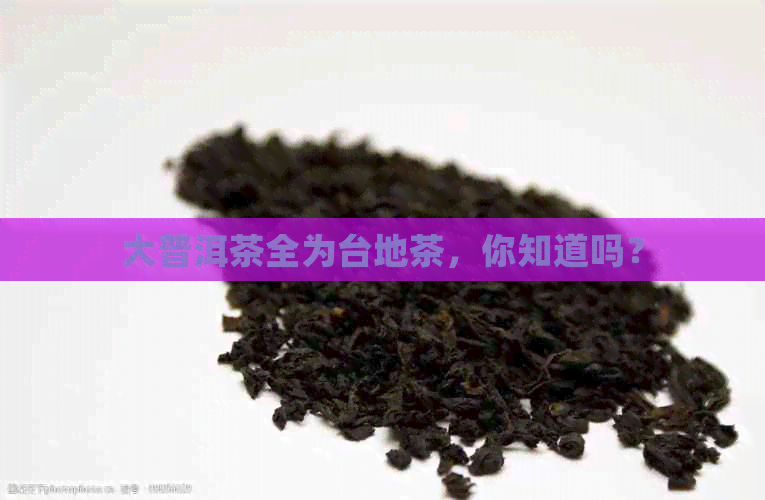 大普洱茶全为台地茶，你知道吗？